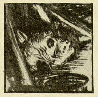 Arthur Conan Doyle, The Adventure of Shoscombe Old Place (1927)